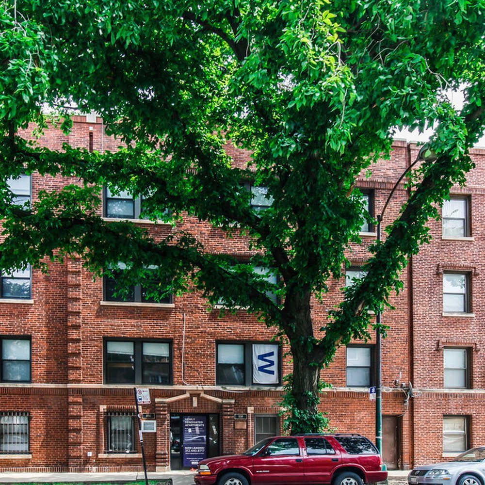3249–51 N. Damen Ave.: Before · 2022